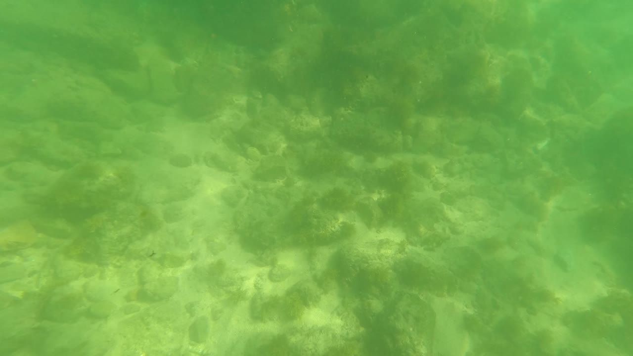Underwater rocky seabed in green clear water