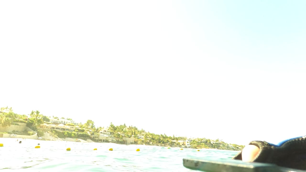Bright overexposed waterline frame in San Jose del Cabo showing ocean surface, sandy shoreline, trees, and distant buildings with no visible people.