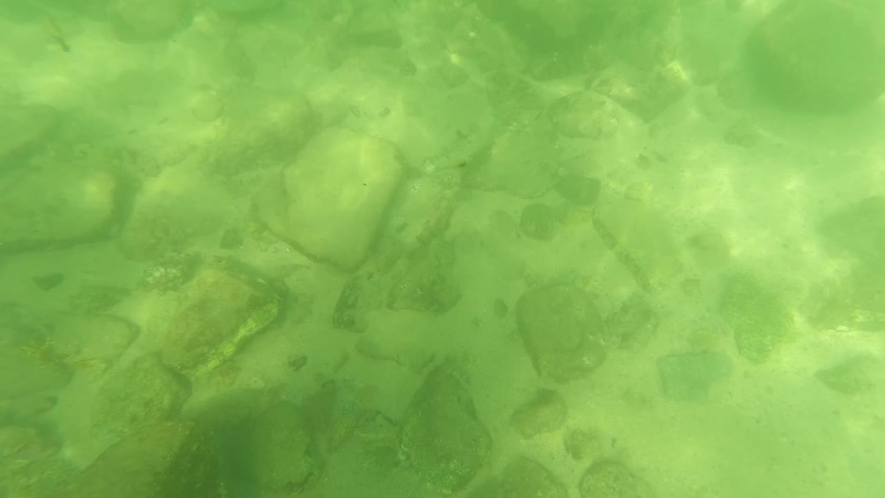 Opening underwater frame in San Jose del Cabo showing green clear water over rounded rocks and pale riverbed patches, with no visible people.