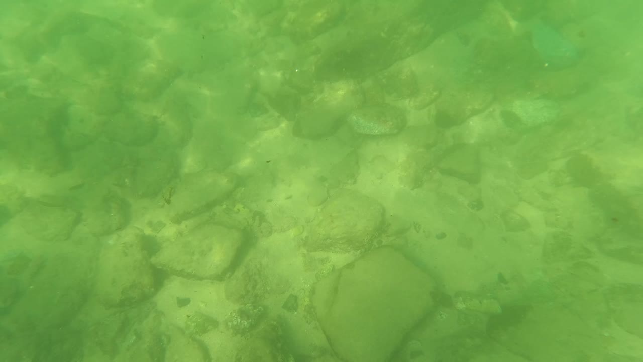 Underwater San Jose del Cabo riverbed frame with a denser field of submerged stones under green water, with no visible people.