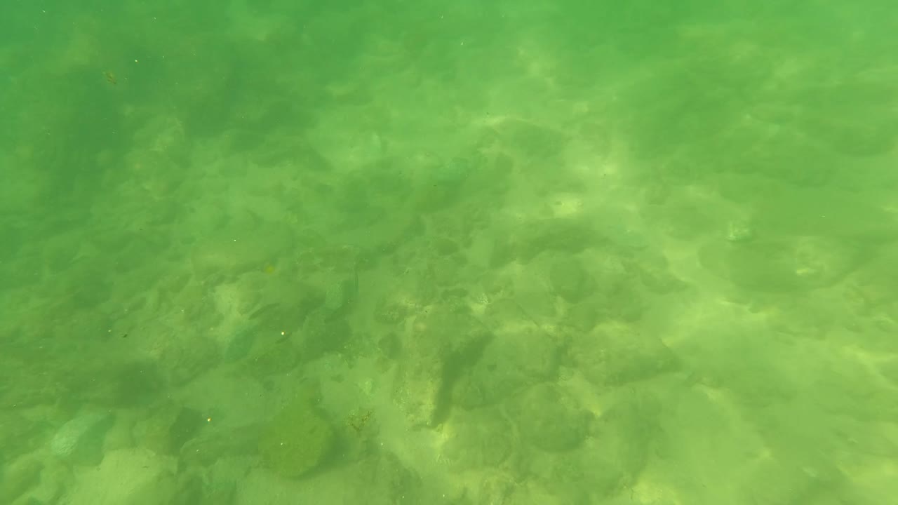 Mid-clip underwater frame in San Jose del Cabo with rounded rocks, uneven pale bottom areas, and a green cast across the water, with no visible people.