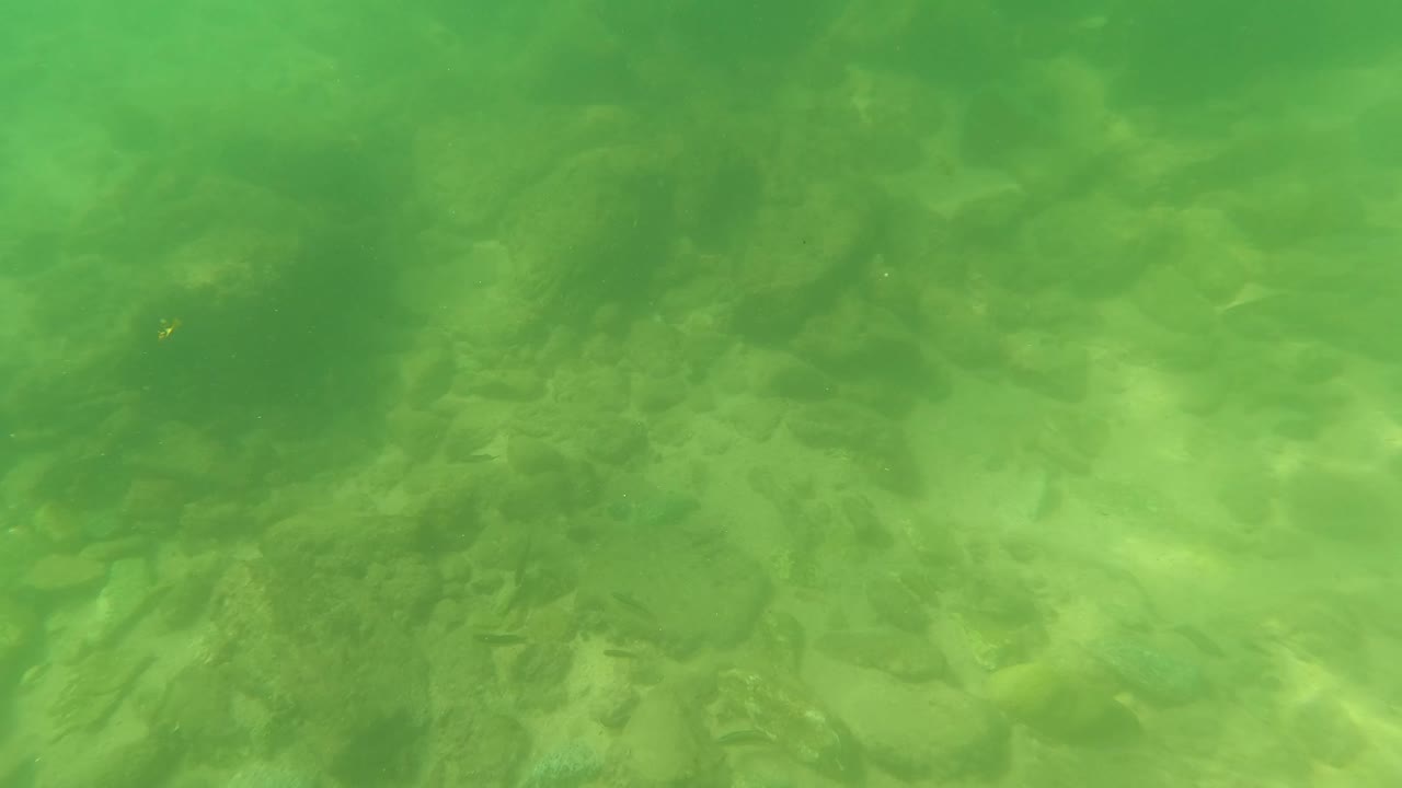 Underwater San Jose del Cabo frame with larger darker rocks across the center of the green riverbed and no visible people.