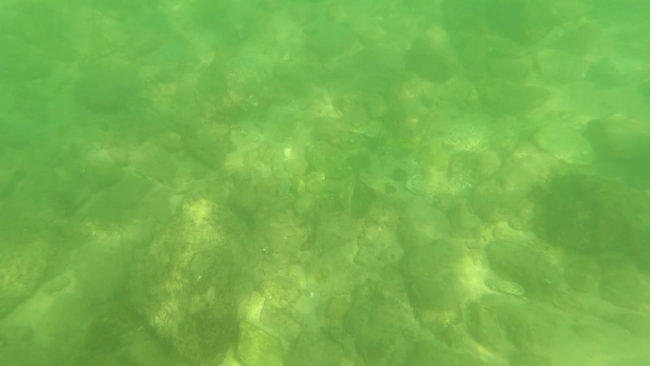 Green underwater view of rocks and pebbles