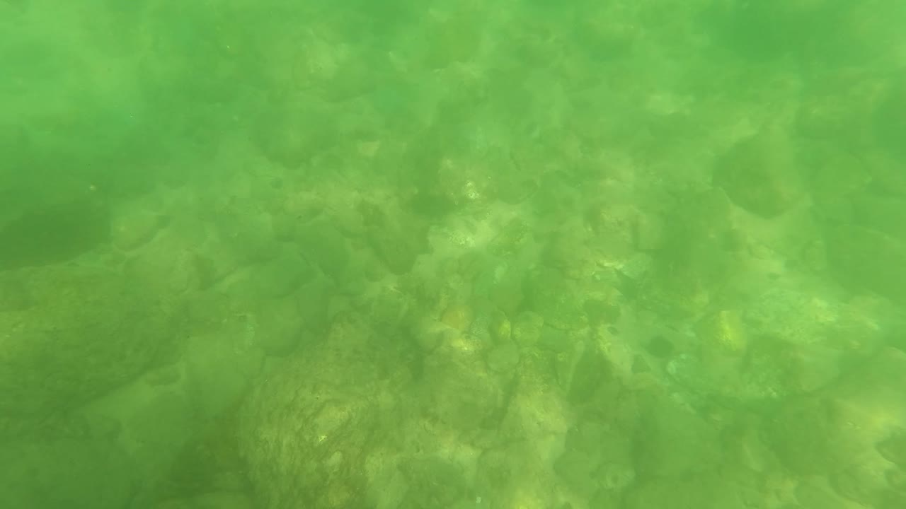 Second frame shows the San Jose del Cabo stream bed through green water, with soft surface shimmer and no visible people.