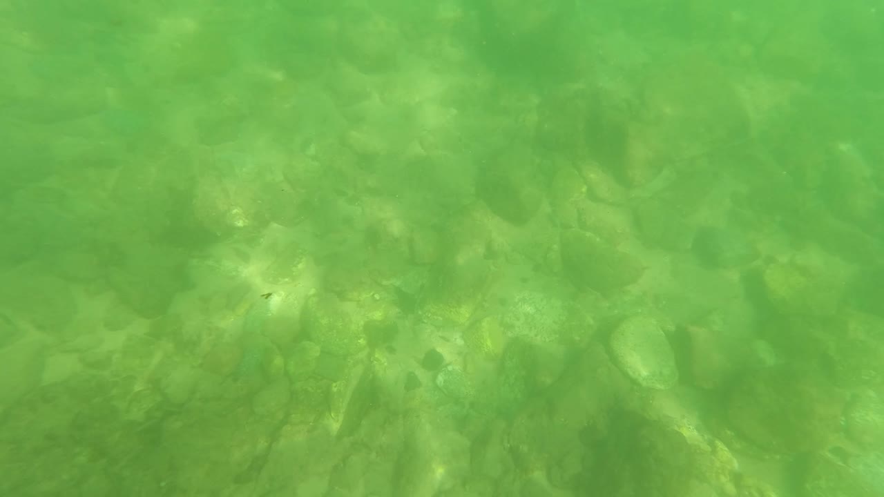 Third frame shows brighter filtered light across submerged stones in the San Jose del Cabo stream, with no visible people.