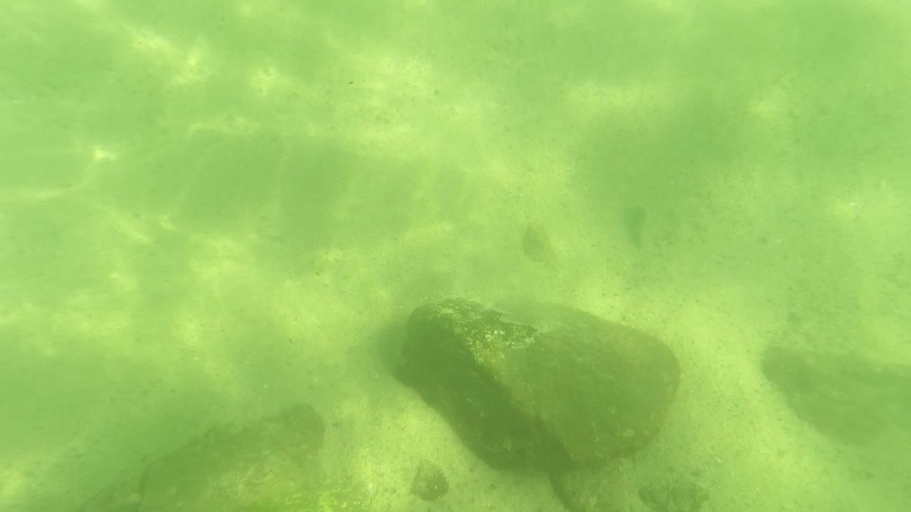 Green underwater seabed with sand and scattered rocks.
