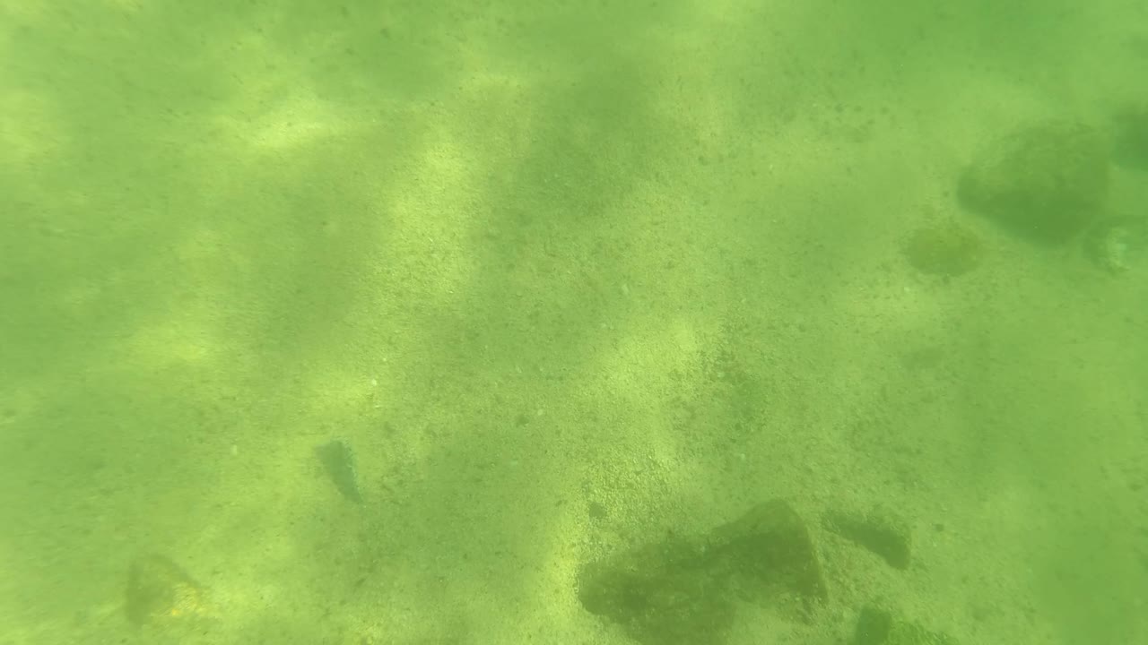 San Jose Del Cabo underwater frame with a sandy bottom, a larger rock in the left foreground, smaller stones in the distance, and no visible people.