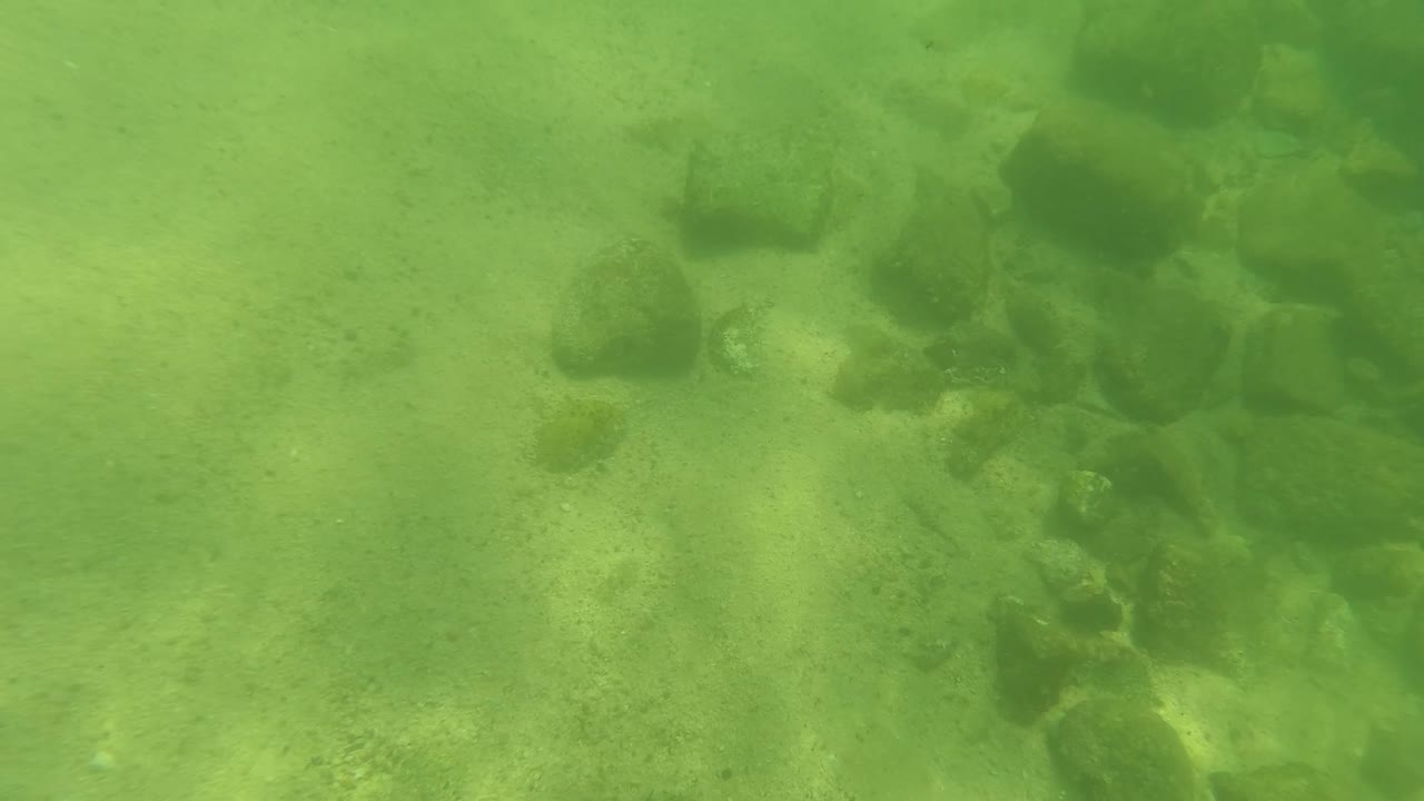 A green-tinted underwater view in San Jose Del Cabo shows sandy patches, dark rocks across the frame, and diffuse light with no visible people.