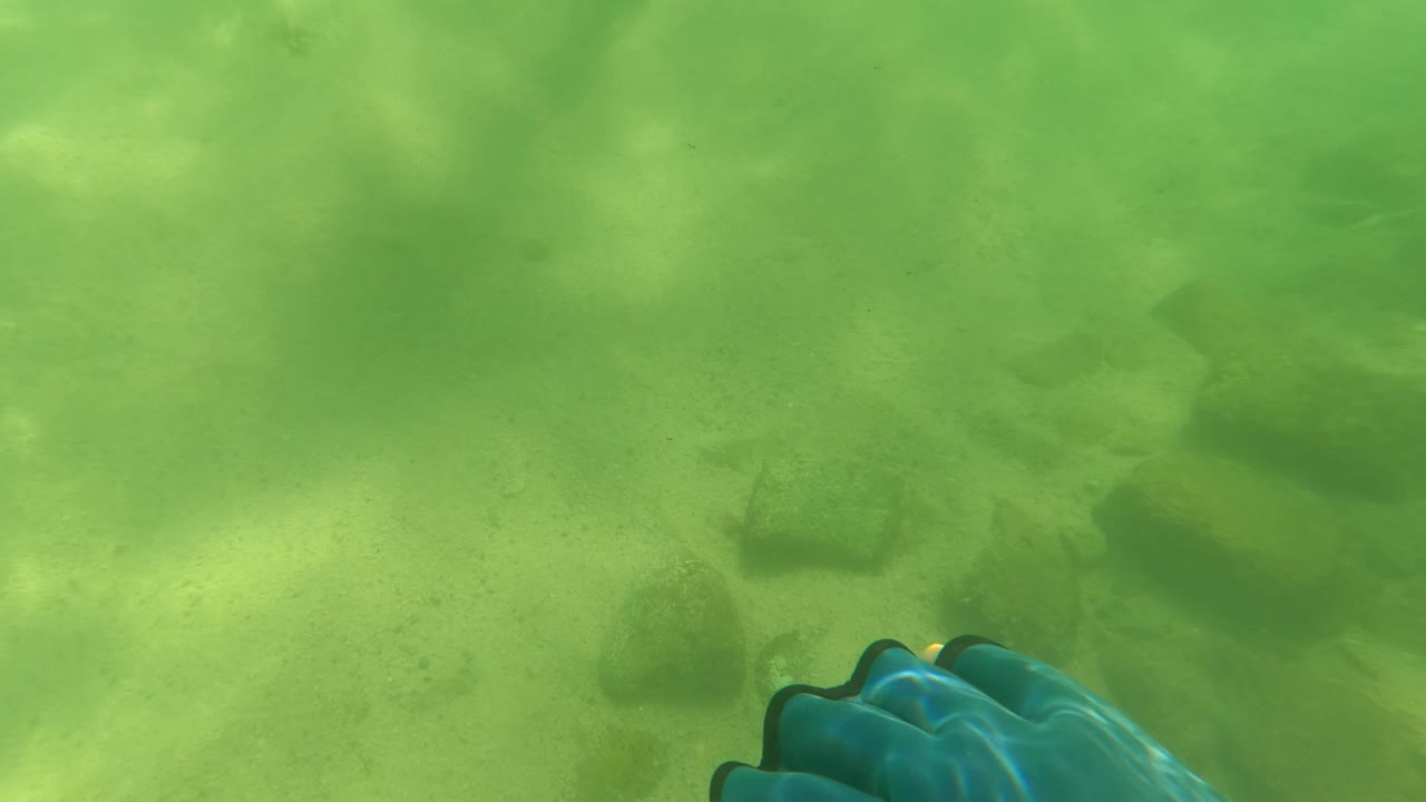 In San Jose Del Cabo, a blue gloved hand enters the lower edge of the green underwater frame above sand and scattered rocks, with no visible face or full person.