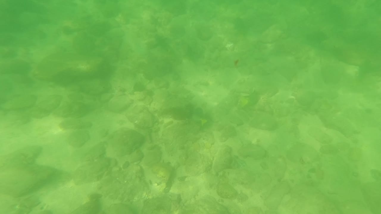 Green underwater view of a rocky stream bed in San Jose Del Cabo, Baja California Sur, with soft light on stones and no visible people.
