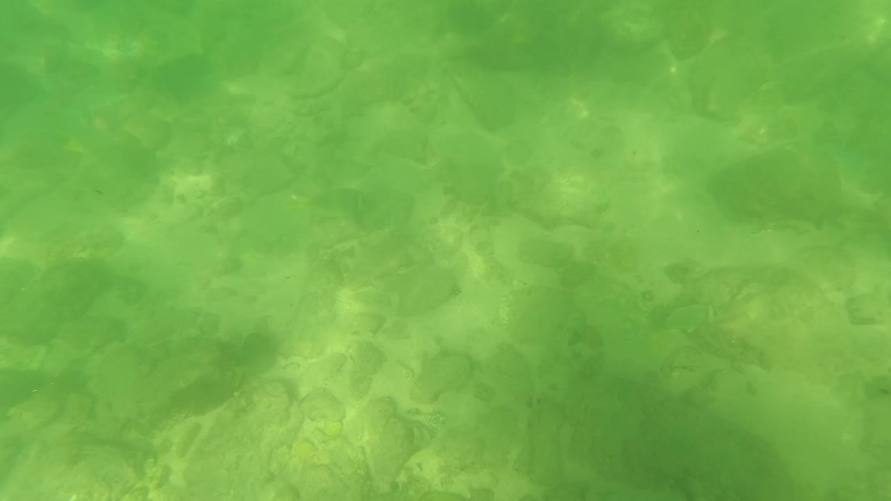 An underwater section of the San Jose Del Cabo stream bed shows green water, clustered rocks, faint small fish shapes, and no visible people.