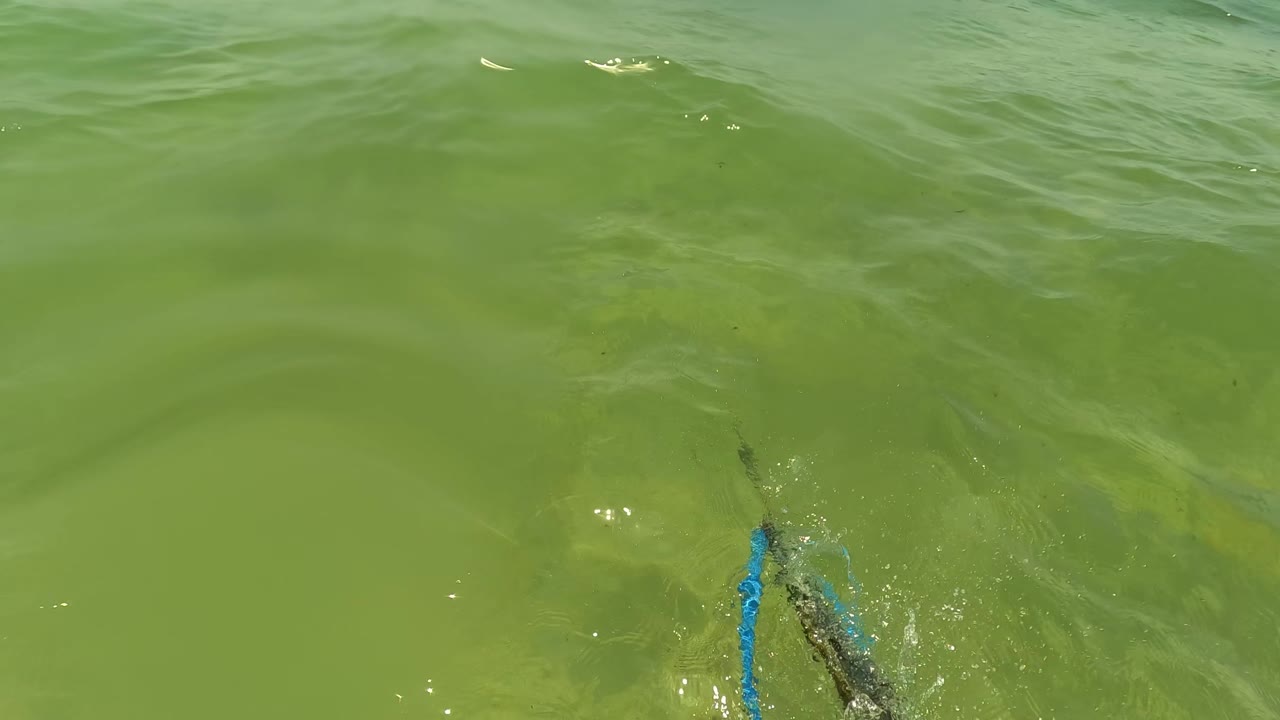 Opening surface view in San Jose Del Cabo, Mexico, with green rippled water and a dark object with a blue edge partly visible at the bottom, no visible people.