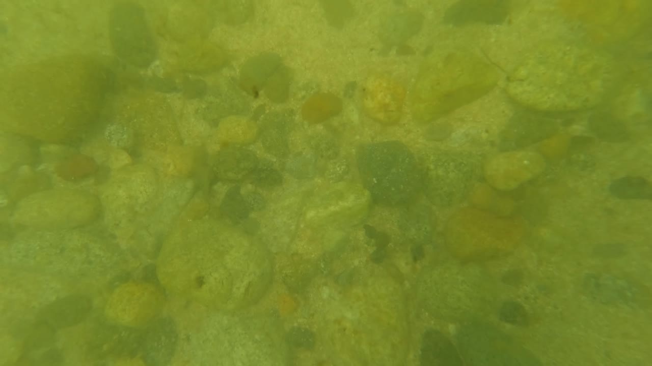 Underwater view of rounded stones beneath green clear water.