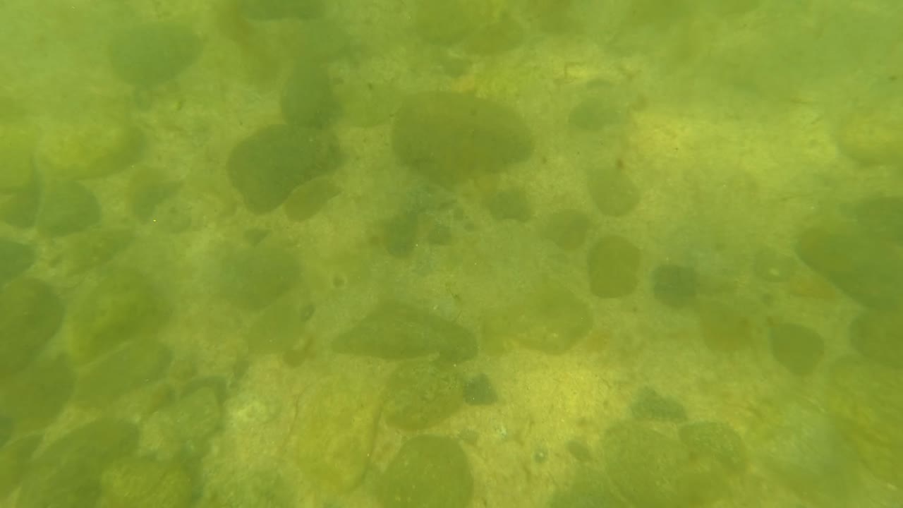 Mid-clip underwater view in San Jose Del Cabo, Mexico, with scattered smooth stones, pale sandy patches, and faint suspended debris in green water, no visible people.