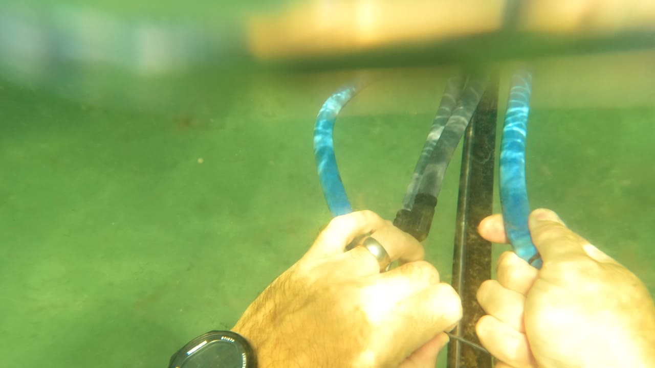 Hands hold and adjust a speargun with blue rubber bands in green underwater light in San Jose Del Cabo, Baja California Sur, Mexico.