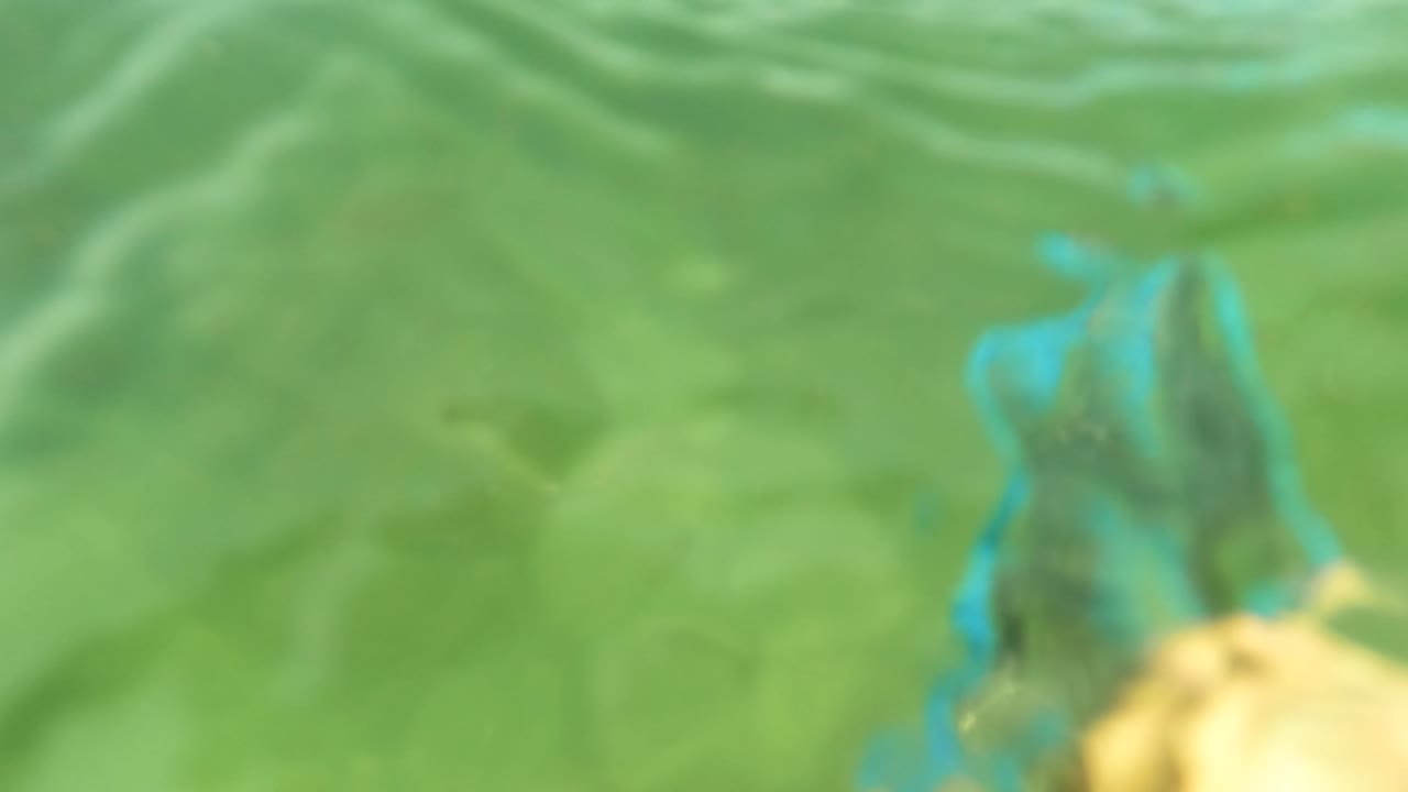 Blurred speargun bands beneath rippled green water
