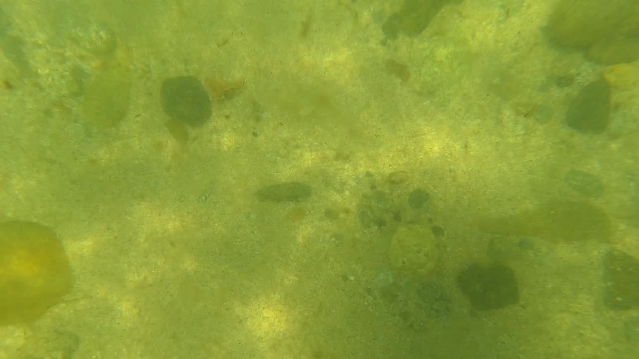 Green-tinted underwater view in San Jose Del Cabo showing sandy seabed, scattered pebbles, soft light ripples, and no visible people.