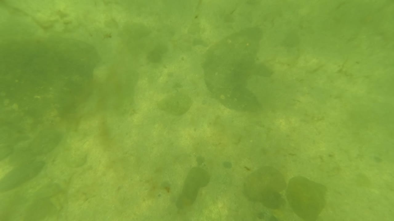San Jose Del Cabo underwater frame with a sandy bottom, darker pebble shapes, faint fish forms, rippled sunlight, and no visible people.
