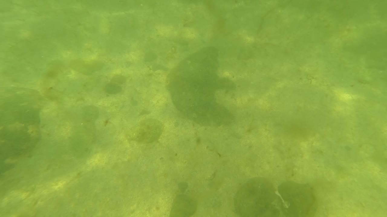 Greenish clear water in San Jose Del Cabo reveals sand, scattered pebbles, soft shadow patches, and no visible people.