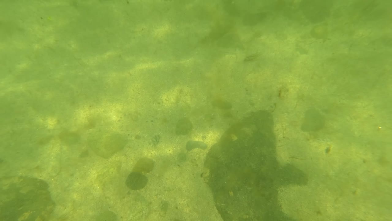 San Jose Del Cabo seabed frame showing green water over sand, larger dark pebble clusters near the lower left, light ripples, and no visible people.