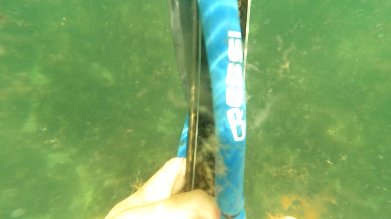 A hand holds a blue and black speargun underwater in San Jose Del Cabo, Baja California Sur, with green clear water around the gear and no visible people beyond the hand.