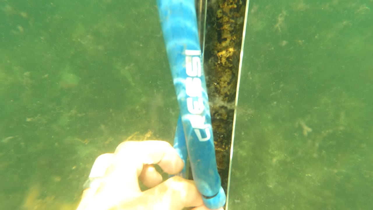 A closer underwater view shows a hand wrapped around the blue speargun handle in San Jose Del Cabo, with the black shaft beside it and no visible people beyond the hand.