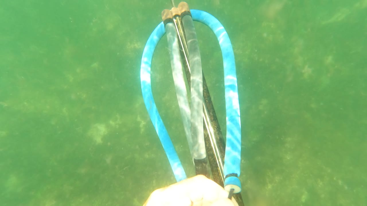 Blue and silver snorkel gear appears near the lower center of the San Jose del Cabo underwater frame, with green water and no visible people.