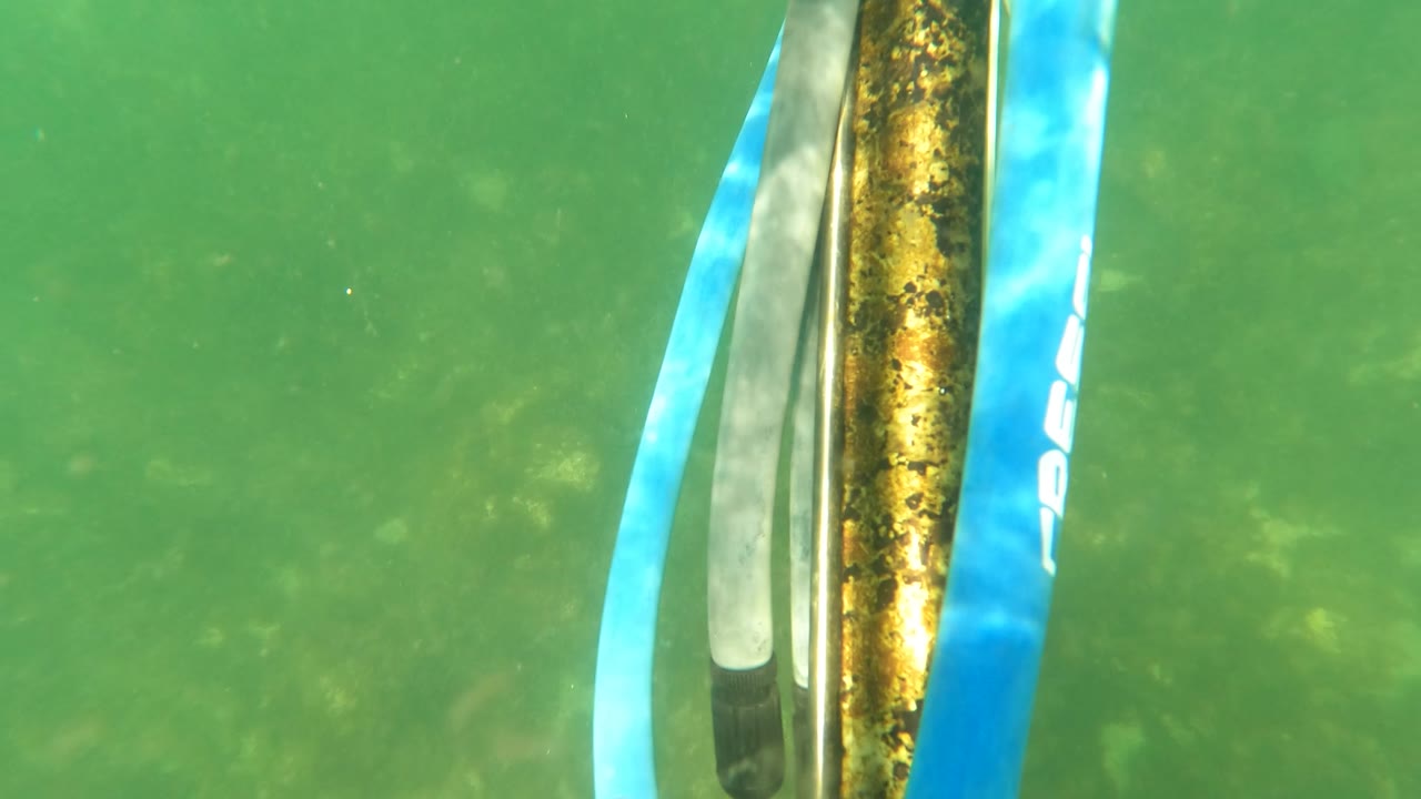 A close section of blue and silver snorkel gear sits along the right edge in green San Jose del Cabo water, with the seabed blurred behind it and no visible people.