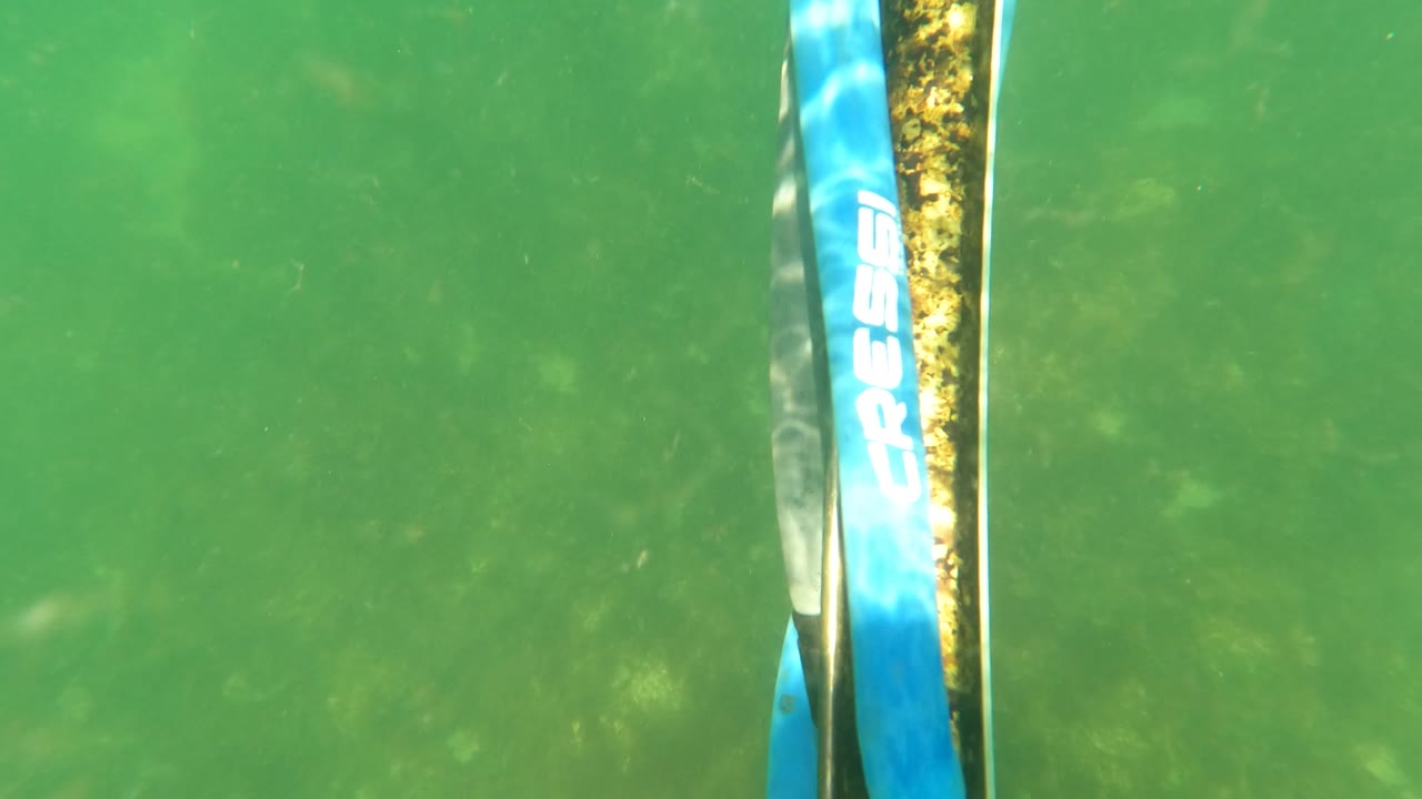 Vertical blue snorkel gear beside green underwater background.