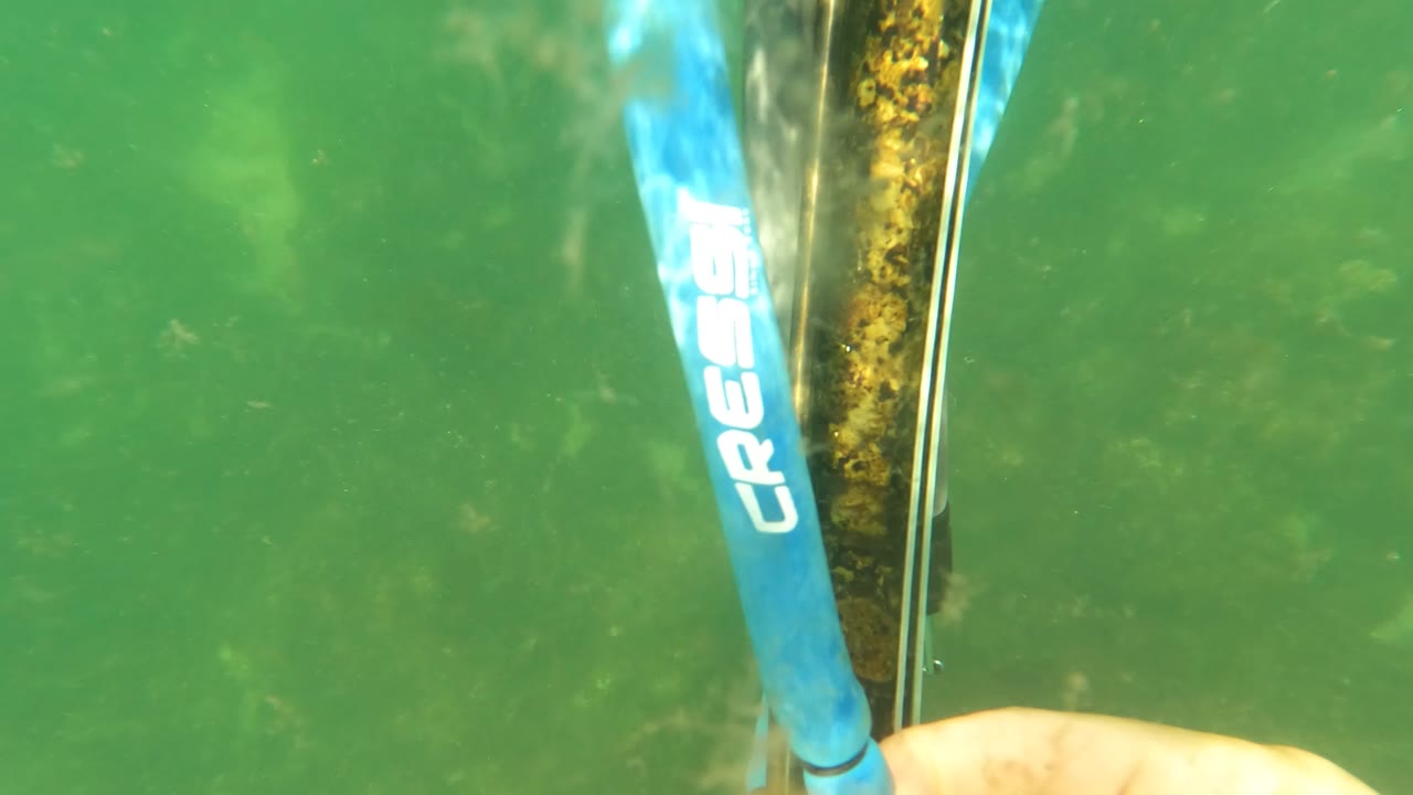 Blue Cressi hose and a vertical metal pole with marine growth sit in green water in San Jose del Cabo, with a partial hand at the lower edge and no visible face.