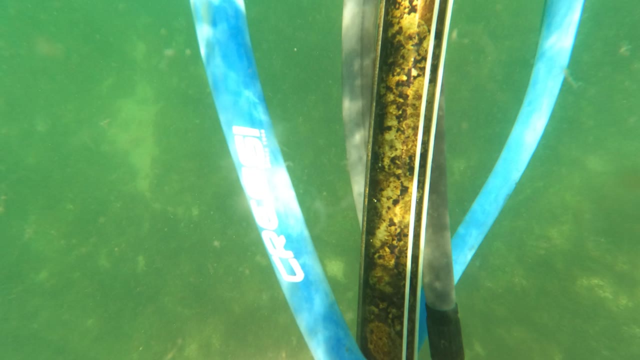 The blue hose shifts across the frame beside the marine-growth-covered pole in San Jose del Cabo, with green water behind it and no recognizable person visible.