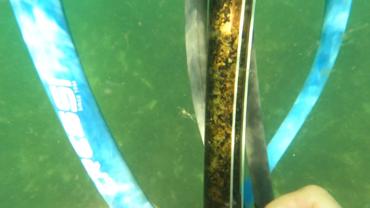 A blue Cressi hose runs close to the stained metal pole in green San Jose del Cabo water, with part of a hand visible at the bottom edge and no visible face.