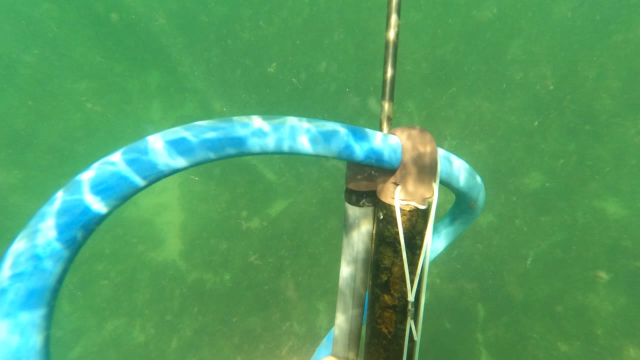 Blue hose loop wraps around a vertical underwater metal pole.