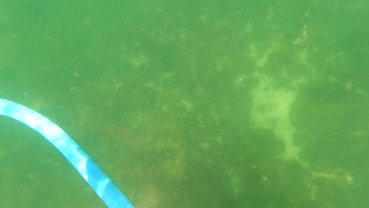 Blue striped hose partly entering green underwater frame
