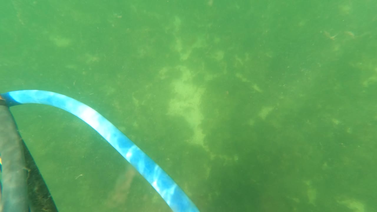 At 0:01, the striped hose sits more centrally in the green water, with suspended particles and pale bottom texture visible in the San Jose Del Cabo underwater frame.