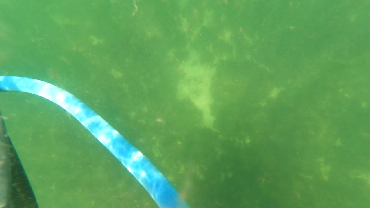 At 0:02, the blue and white hose bends from the lower left toward the upper area, while green water, floating specks, and faint bottom shapes remain visible with no people in frame.