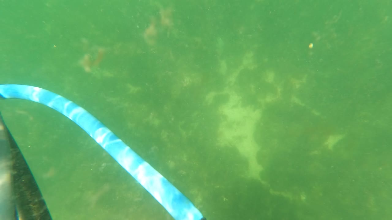 At 0:03, the striped hose enters from the left foreground beside a darker submerged line, with murky green water and pale bottom marks visible in the San Jose Del Cabo clip.