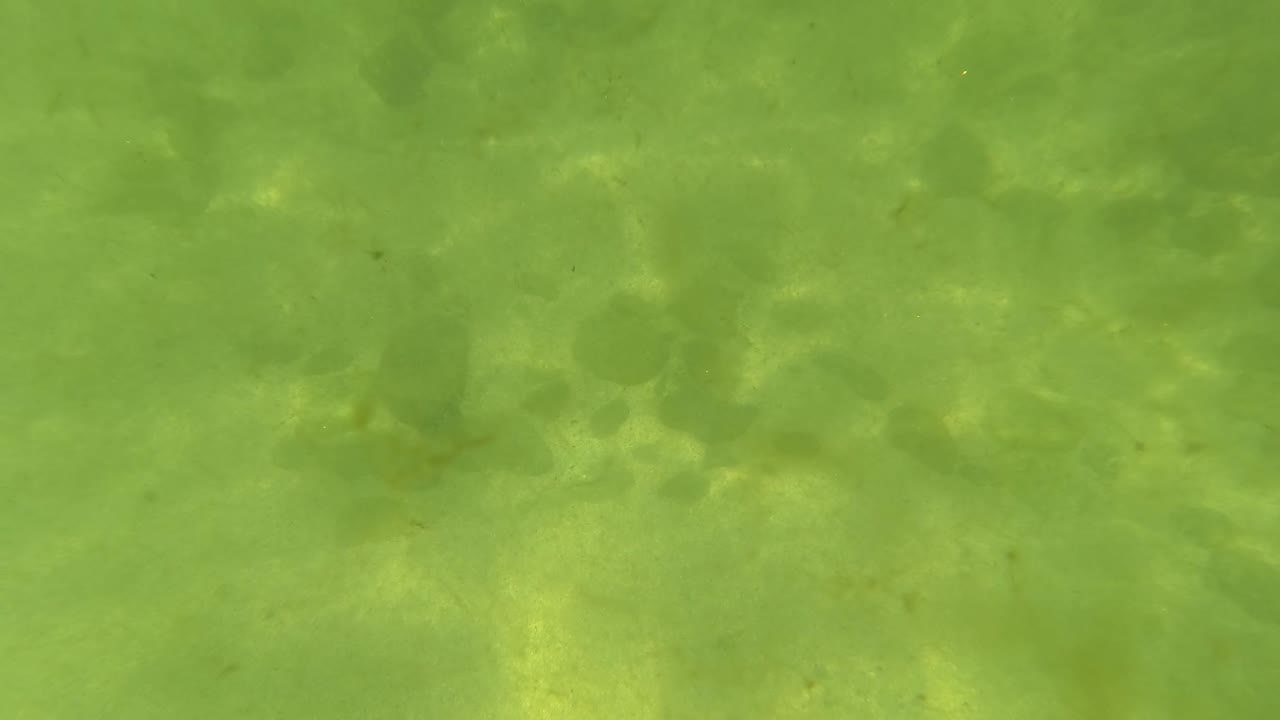 Green underwater seabed with pebbles, rocks, and ripple light.
