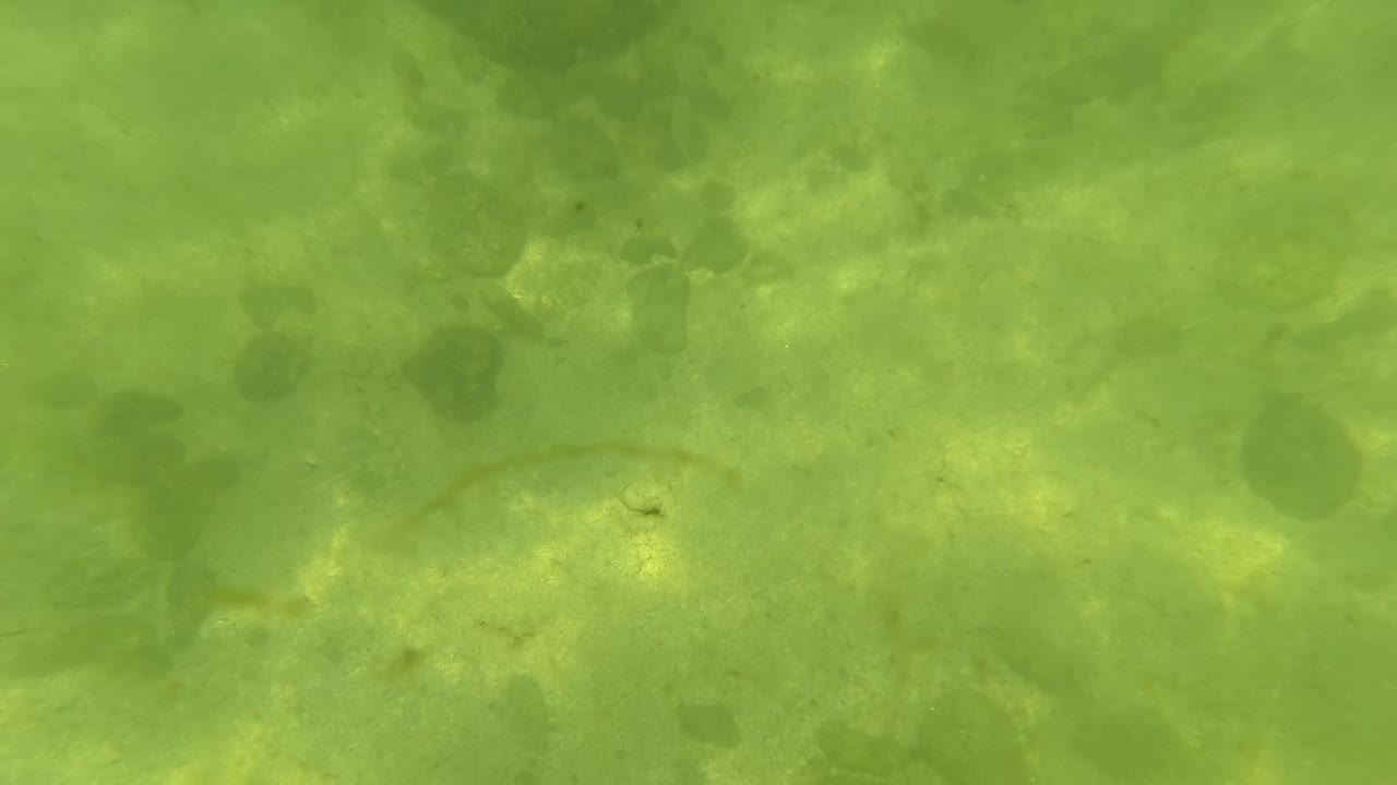 The underwater view in San Jose del Cabo holds on a green sandy bottom with pebbles, darker stones, and shifting light, with no visible people.