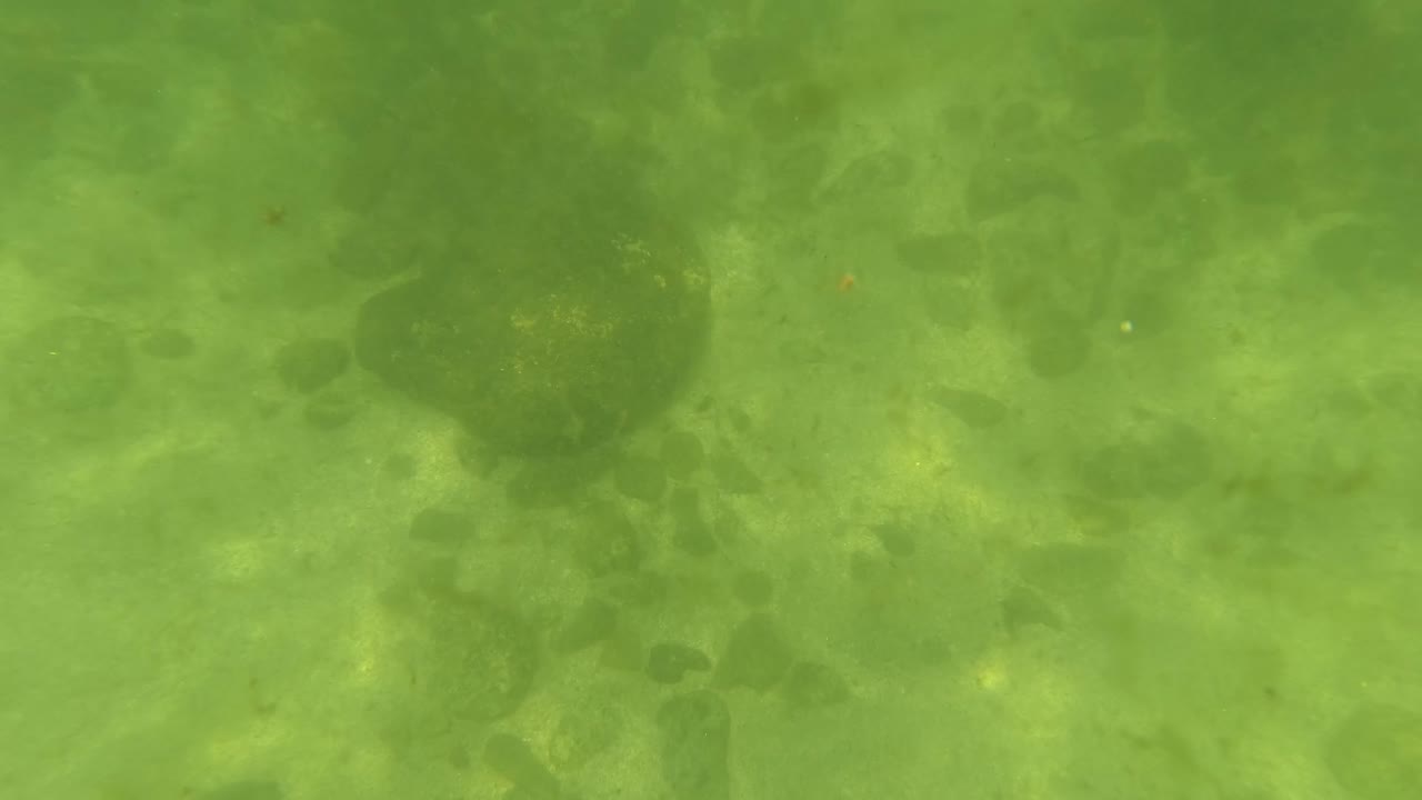 Midway through the San Jose del Cabo clip, darker rounded rocks sit on the sandy pebbly bottom under green rippled water, with no visible people.