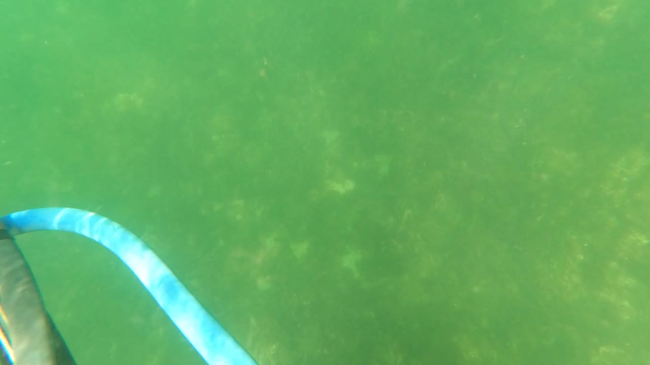 At 0:00, San Jose del Cabo underwater footage shows the edge of a blue diving hose and dark equipment entering from the left over green water and a faint seabed, with no visible people.