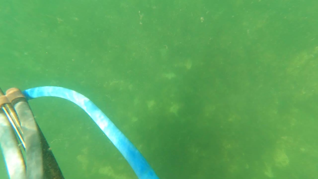 Close blue hose loop and dark diving equipment against green underwater seabed.
