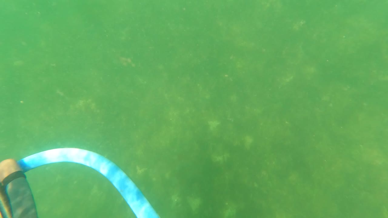At 0:02, the diving gear sits toward the right side of the San Jose del Cabo underwater frame, with a blue hose loop crossing green water and no visible people.