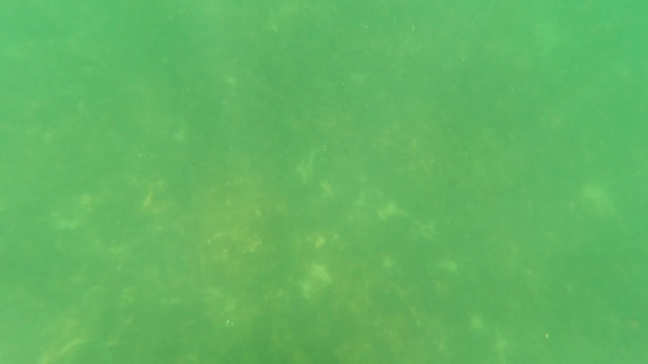 Green underwater view of a sandy seabed with faint algae patches