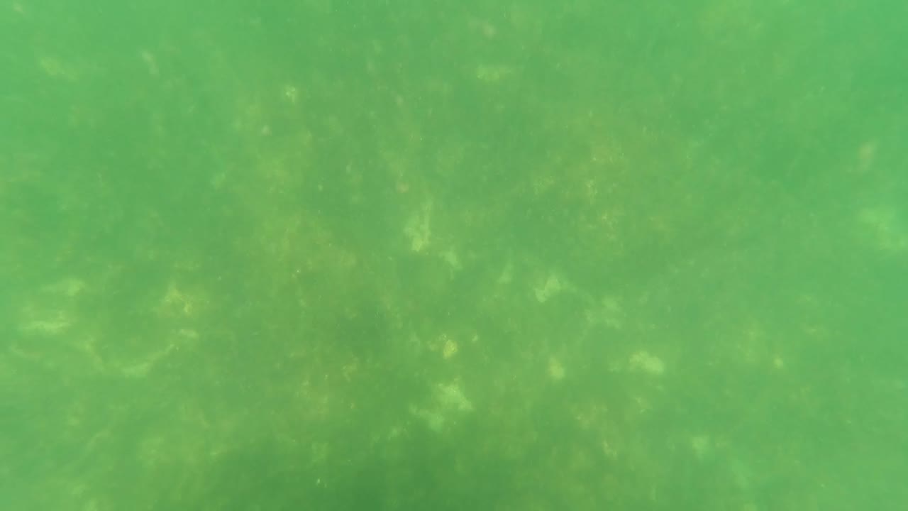 Blue and black snorkeling gear appears at the right side of the San Jose Del Cabo underwater frame, with green water and no visible people.