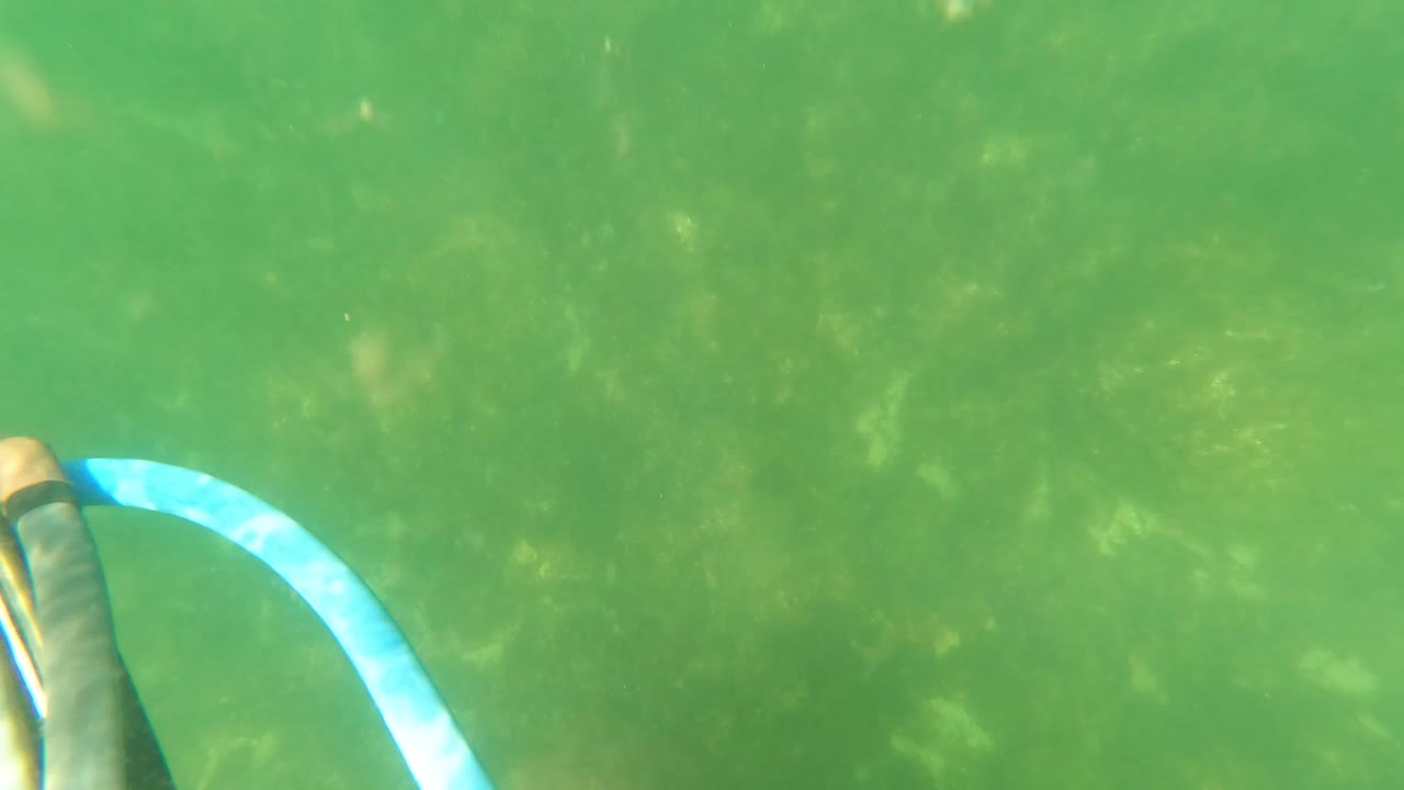A partial blue snorkel tube and dark gear edge sit low on the left side of the San Jose Del Cabo underwater view, with no visible people.