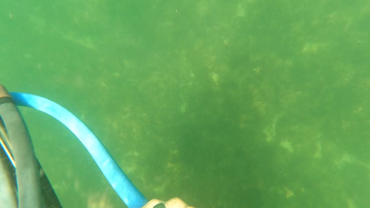 Blue tubing, black snorkeling gear, and a thin pointed piece are centered over the green seabed in San Jose Del Cabo, with no visible people.