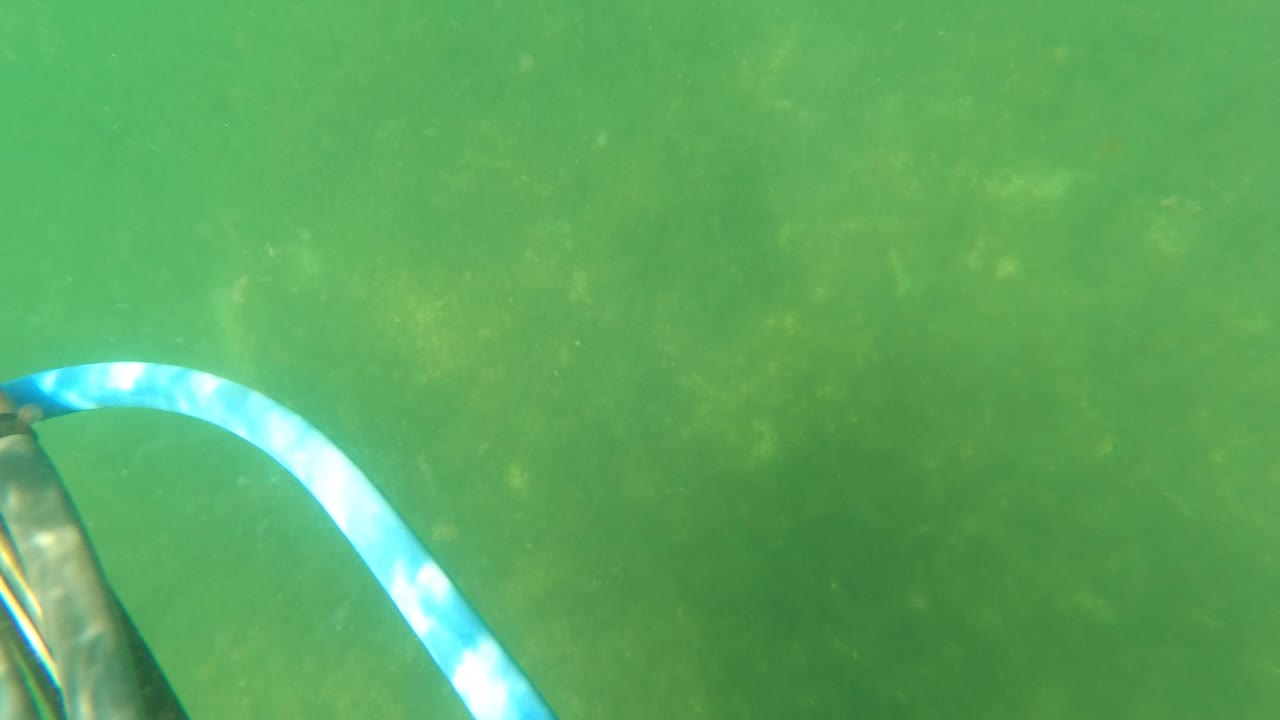Underwater view in San Jose Del Cabo with the edge of a speargun and blue band entering from the lower left against green water, with no visible people.