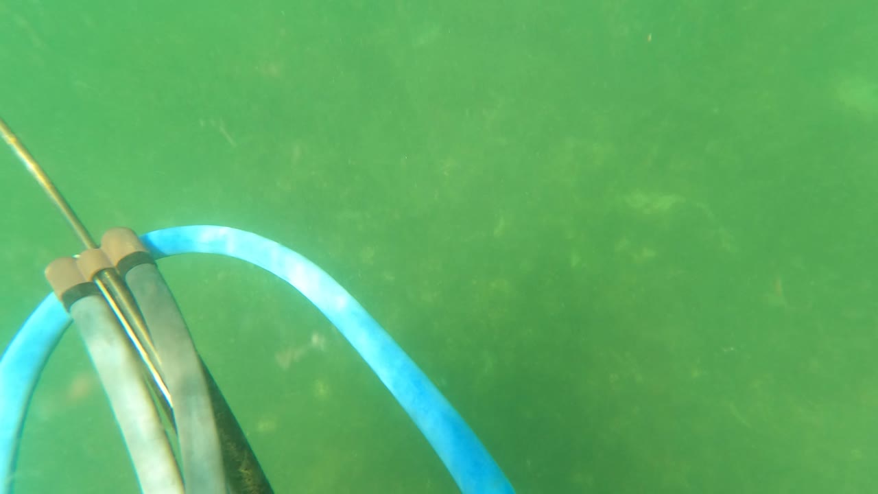 Centered underwater frame in San Jose Del Cabo showing the speargun shaft, metal tip, and blue band in green water, with no visible people.