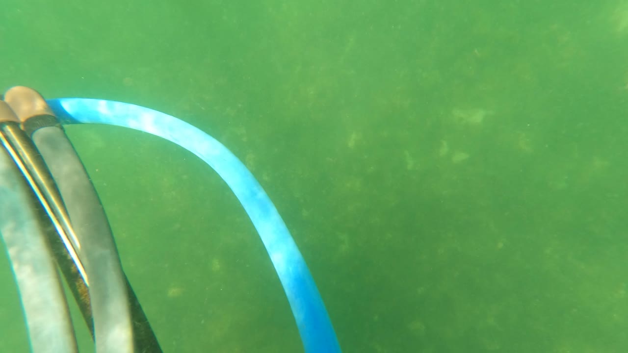 Close underwater view in San Jose Del Cabo with the speargun body and blue band filling the right side of the frame, with no visible people.